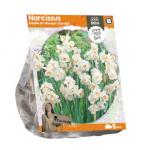 Baltus Narcissus Double Sir Winston Churchill bloembollen per 5 stuks